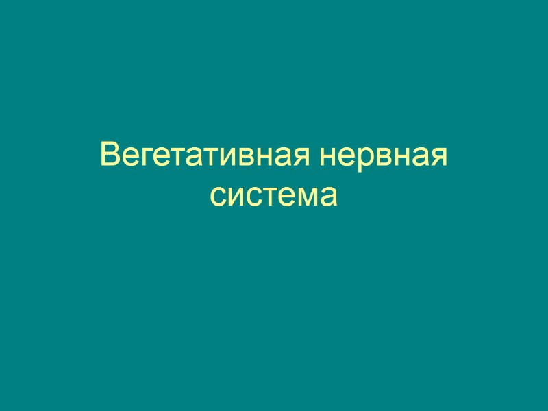 Вегетативная нервная система